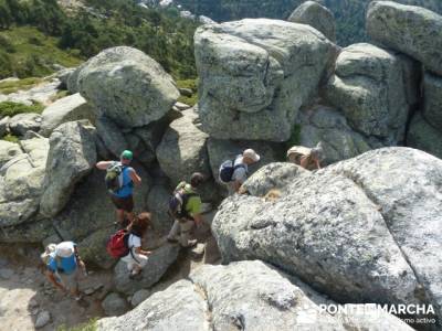 Senda Herreros - Puerto de Navacerrada - Valle de Fuenfría - Ducha de los Alemanes -Embalse Berceas